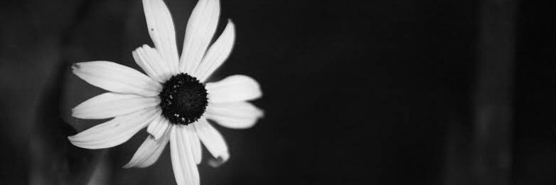 bsrkdt's profile banner image