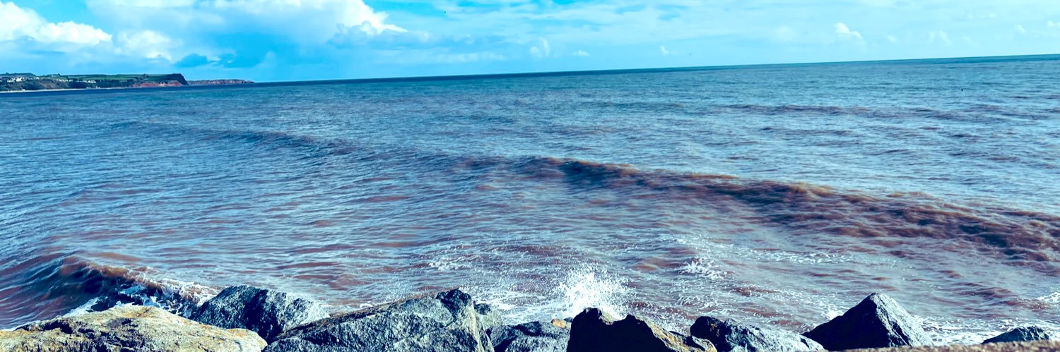 lozillidge's profile banner image