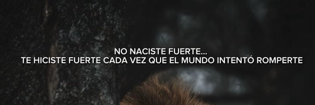 Alejandro González Sañudo banner