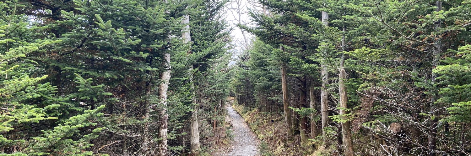 Marcus Painter banner