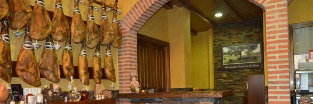 ibericosnuria's profile banner image