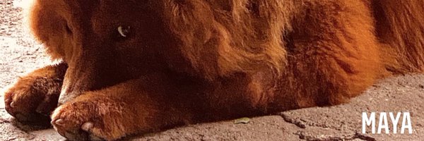 AndrehCassius Profile Banner