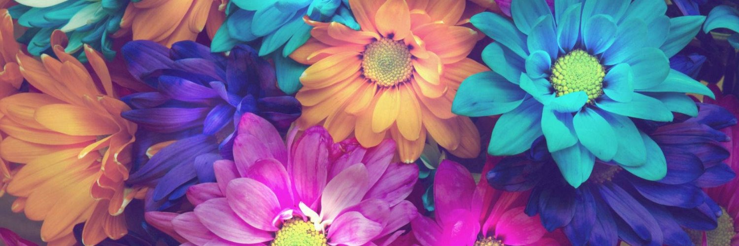 gr8tfind's profile banner image