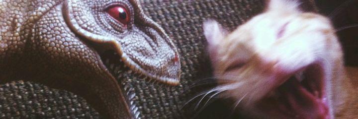 _biuseee_'s profile banner image