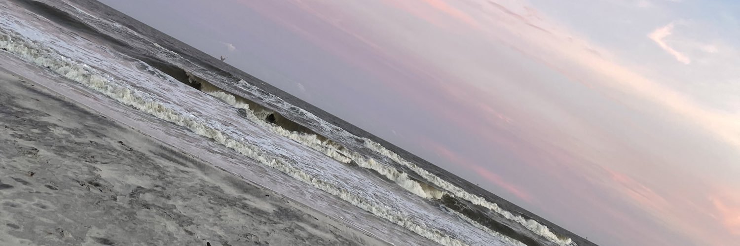 BrookoverEmilee's profile banner image