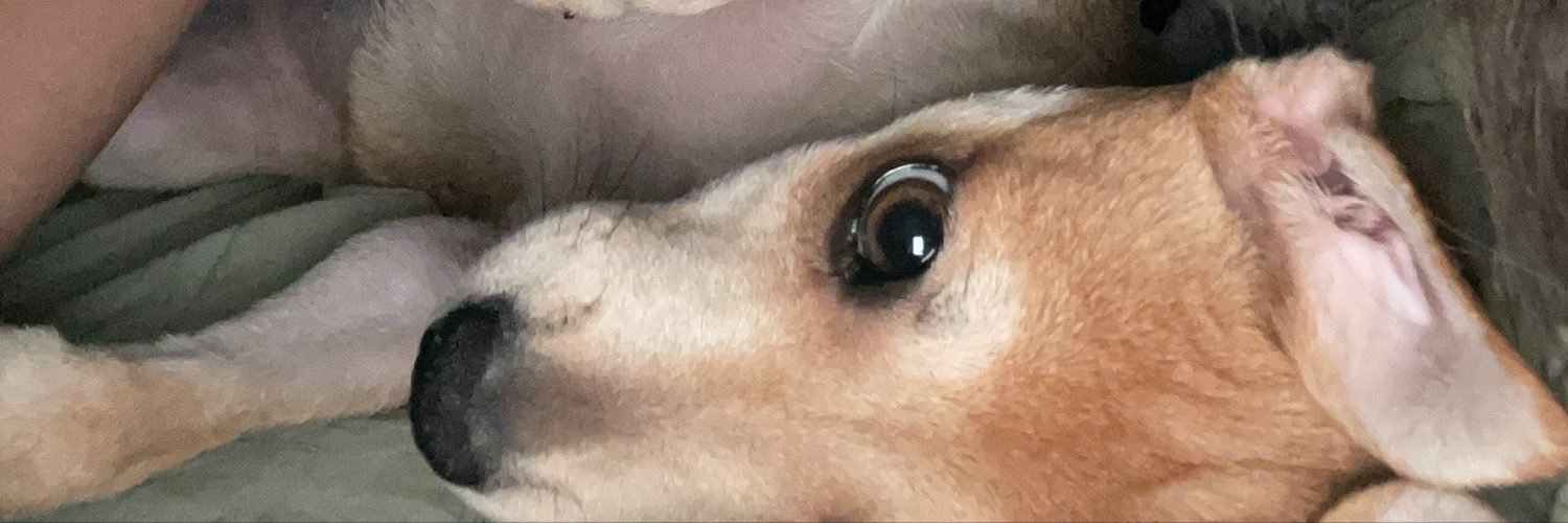 liaditive's profile banner image