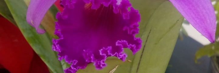 MaruRiveraSa's profile banner image