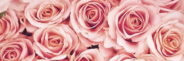dobsonjill's profile banner image
