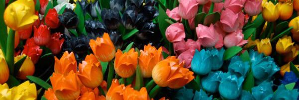Rola_Nowar's profile banner image