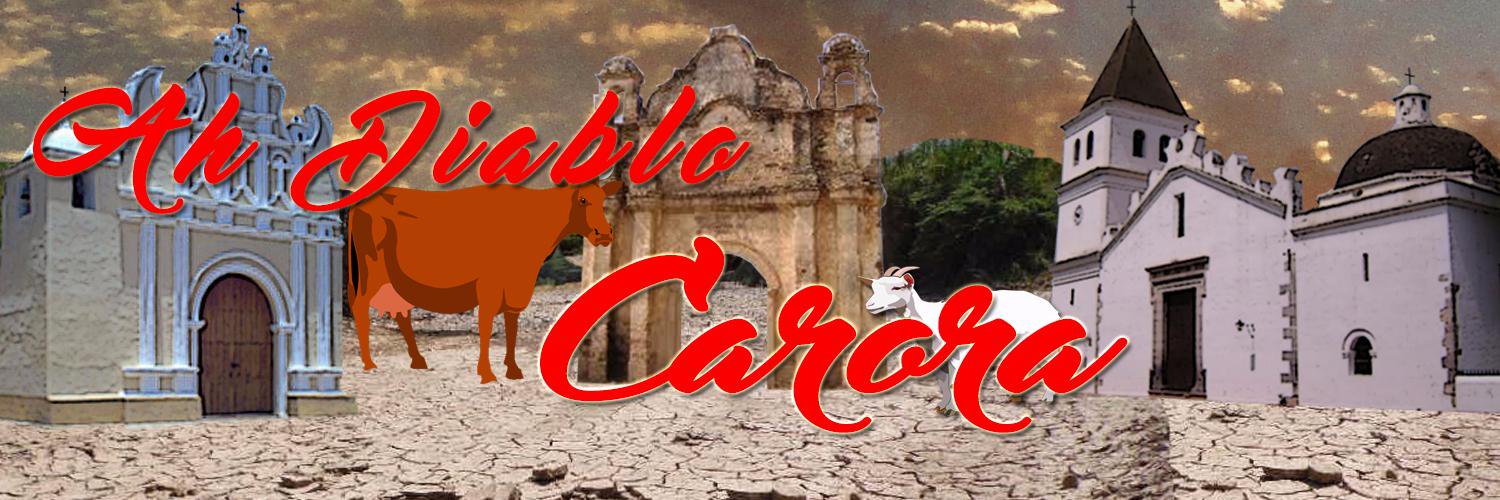 AhDiabloCarora's profile banner image