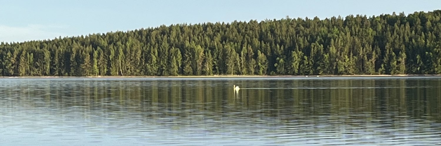 joksala's profile banner image
