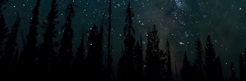 Harry_Styles_RA's profile banner image