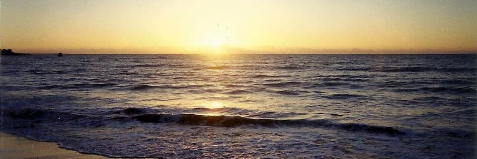 PauloRobertoWP's profile banner image
