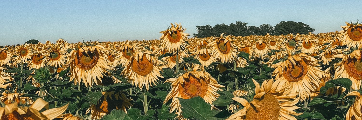 valelarran's profile banner image
