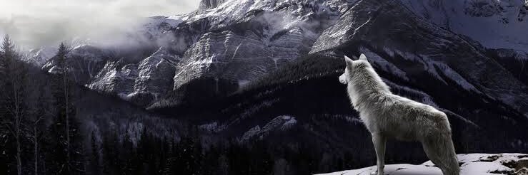 UnutanKurt's profile banner image