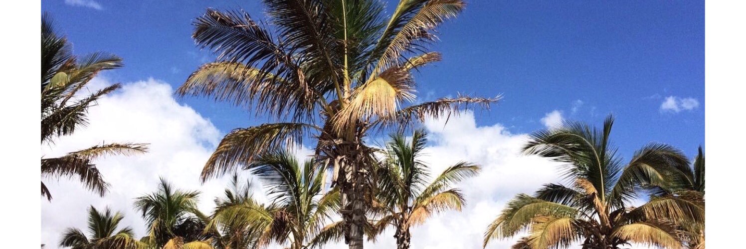 melianrivero7's profile banner image