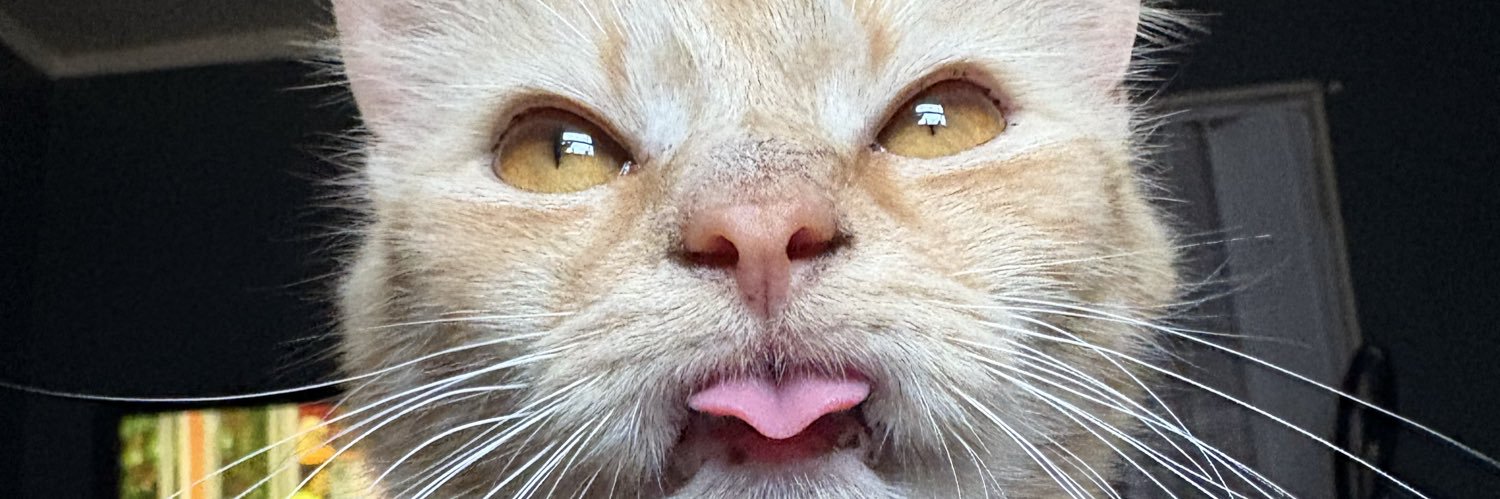 hellatrvsh's profile banner image
