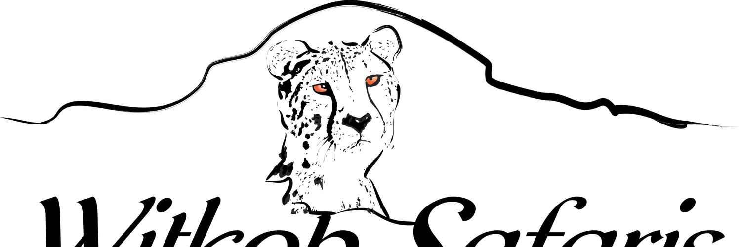 witkopsafaris's profile banner image