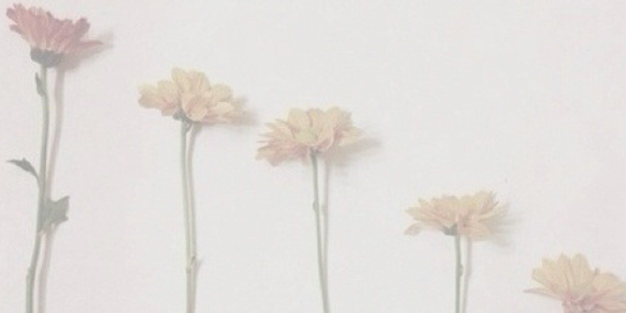 stripcs's profile banner image