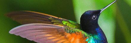 jamdownrocking's profile banner image