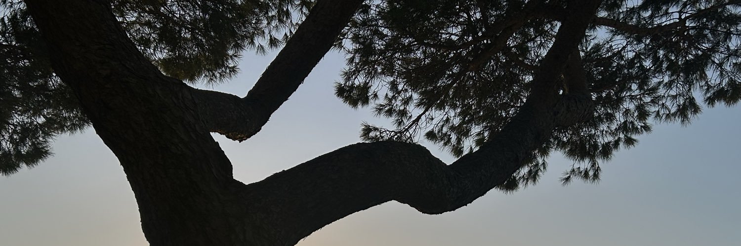 Jacqueline Vrolijk banner
