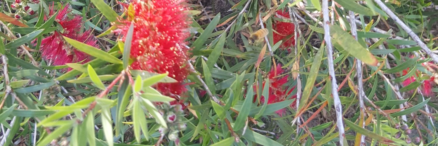 RobynJCooper's profile banner image