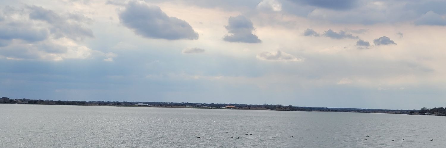 Coriandra1994's profile banner image