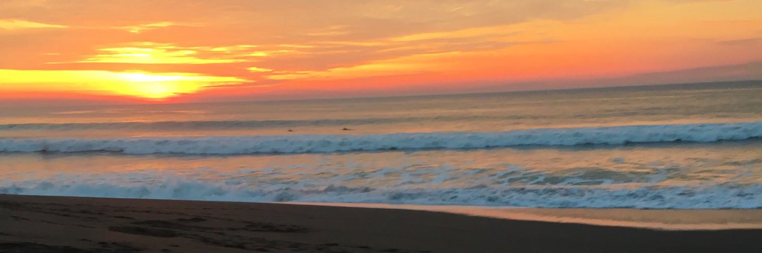marissabonek's profile banner image