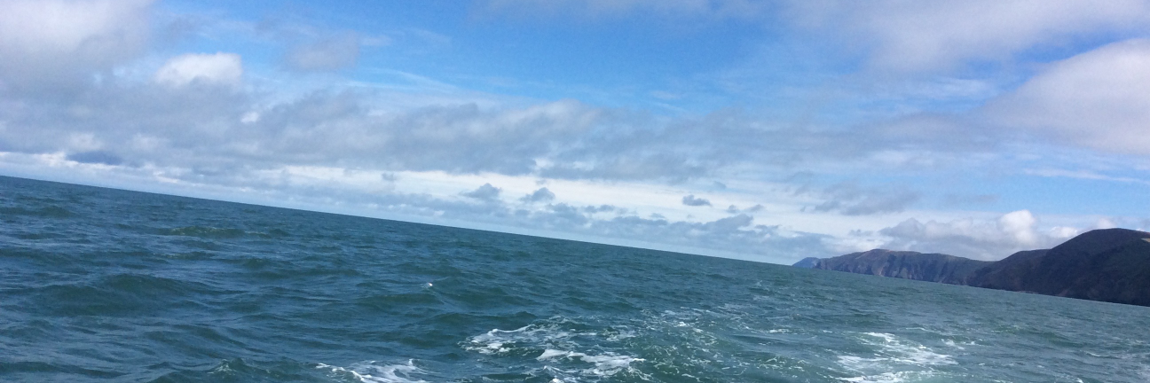 andrewdench's profile banner image