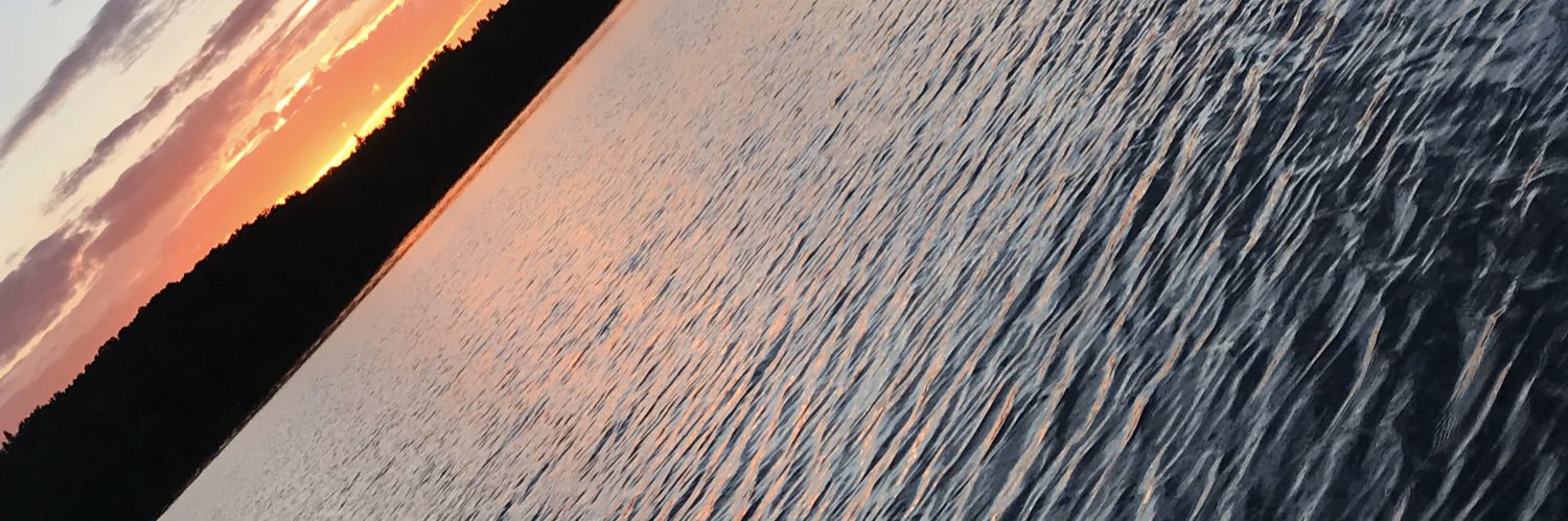 RLammers13's profile banner image