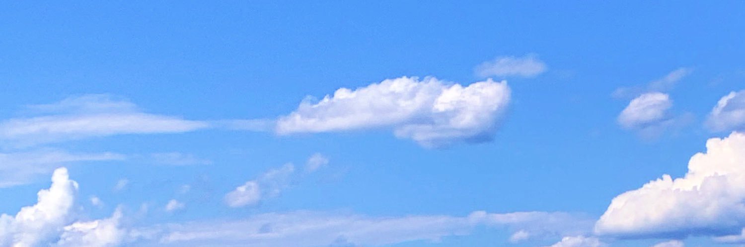 rinnieran's profile banner image