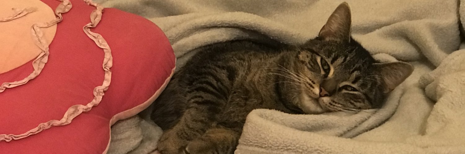 kat banner