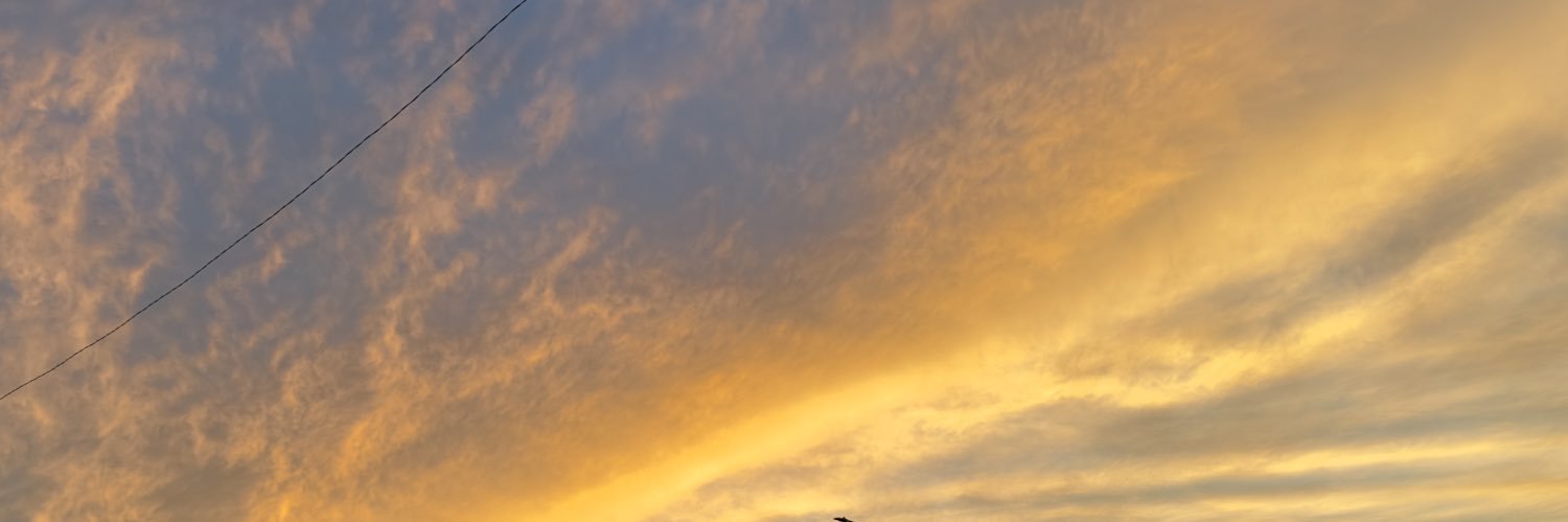 ashire's profile banner image