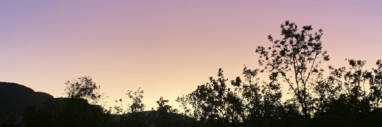 drabelinha's profile banner image