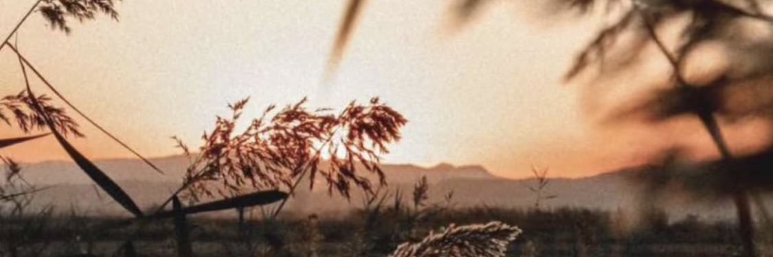 alfjrrrr's profile banner image