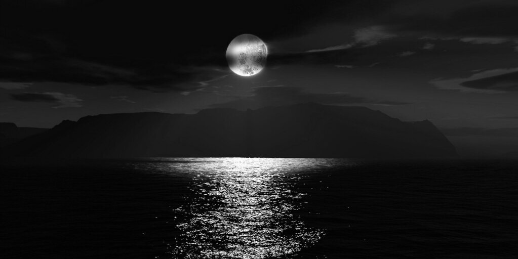 fester45's profile banner image