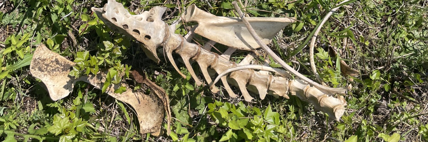 Fybregoth(Nylon Nymph) banner