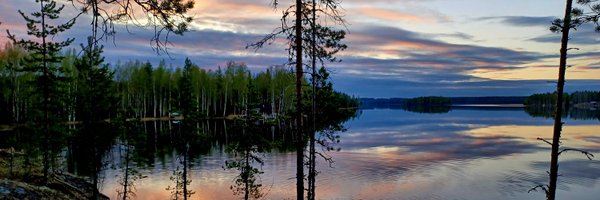 Petri2020 Profile Banner