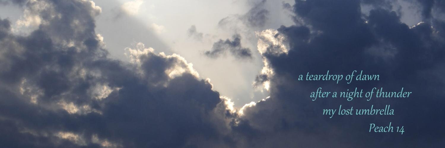 HaikuToday banner