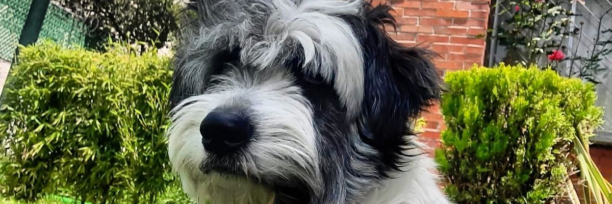 Manymom's profile banner image