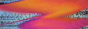 rsvpster's profile banner image