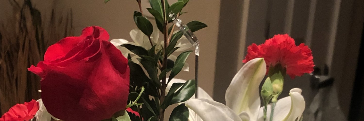 alisonbennett25's profile banner image