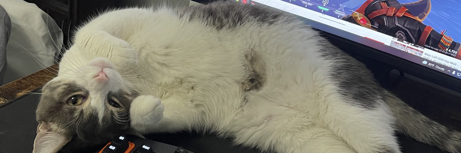 thynnnn's profile banner image