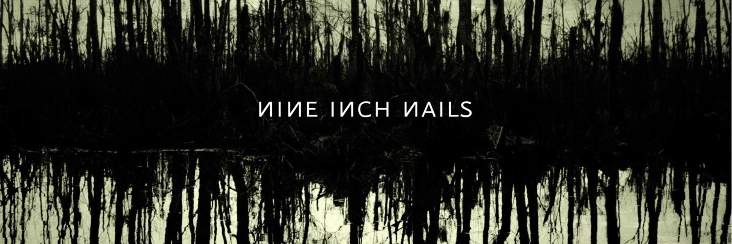 Nellyrific's profile banner image