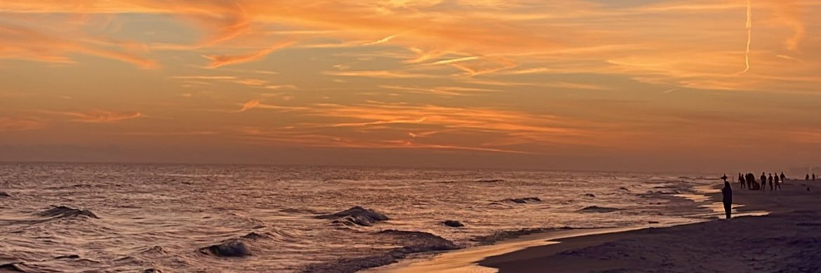 yesitsmadison's profile banner image