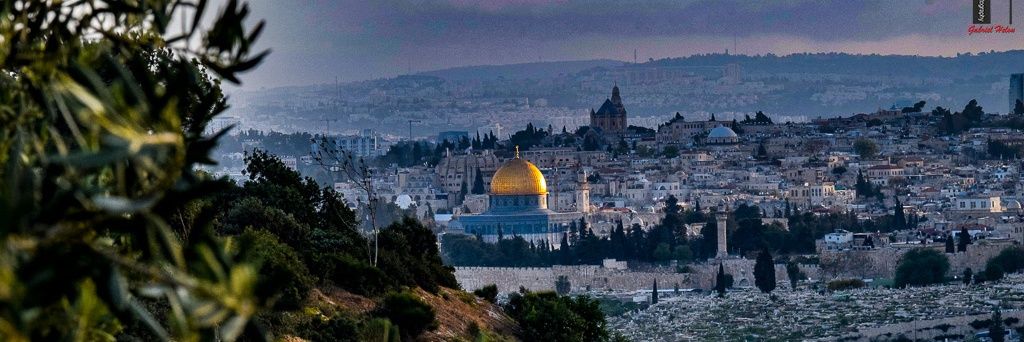 Gabriel Helou banner