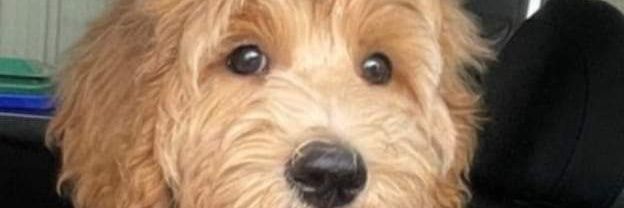 SherriAndrews15's profile banner image