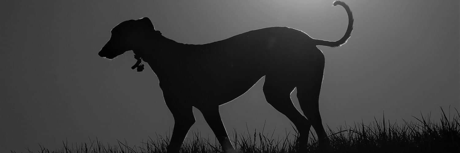 CraigKehrwald's profile banner image