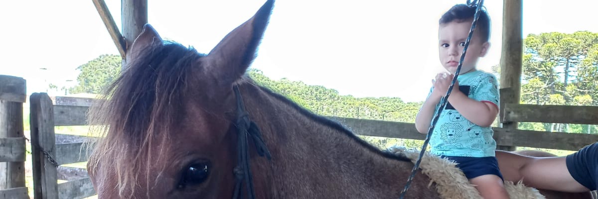 _LeoLuckmann's profile banner image