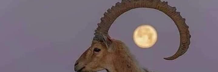 سلطان الكثيري banner
